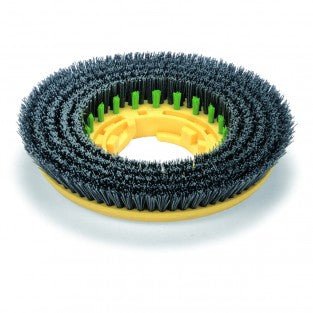 Brosse longlife pour autolaveuse Numatic (TTB6652) - 330MM Numatic - Clean Equipements